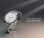 Palatine Silver – Men’s Watch